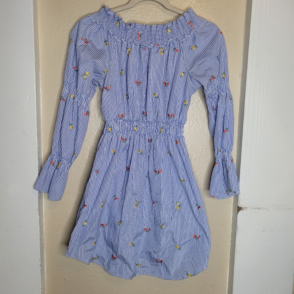 Maddie Stripe Dress Floral Embroidered Blue White Ruched Girls Size XL